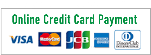 Online Credit Card Payment